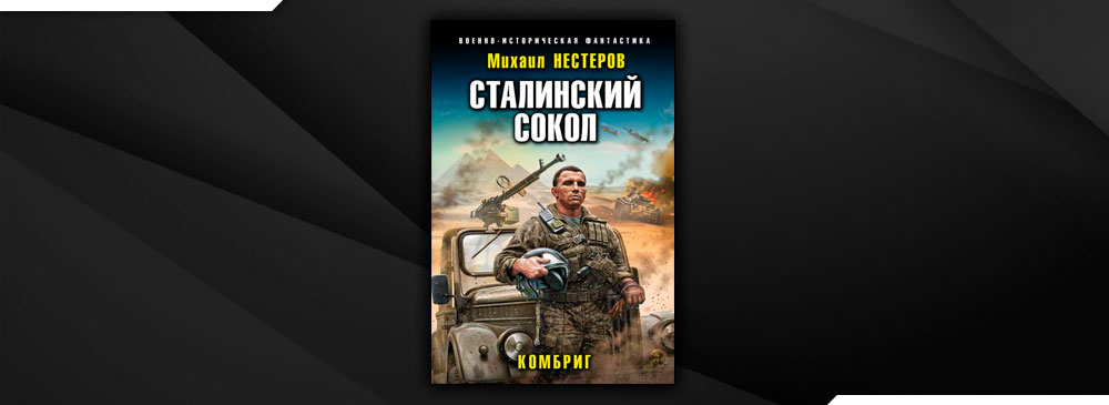 Книга сталинский сокол читать