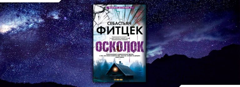 Читать Осколок (Себастьян Фитцек) онлайн бесплатно