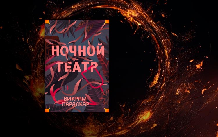 Ночной театр (Викрам Паралкар)