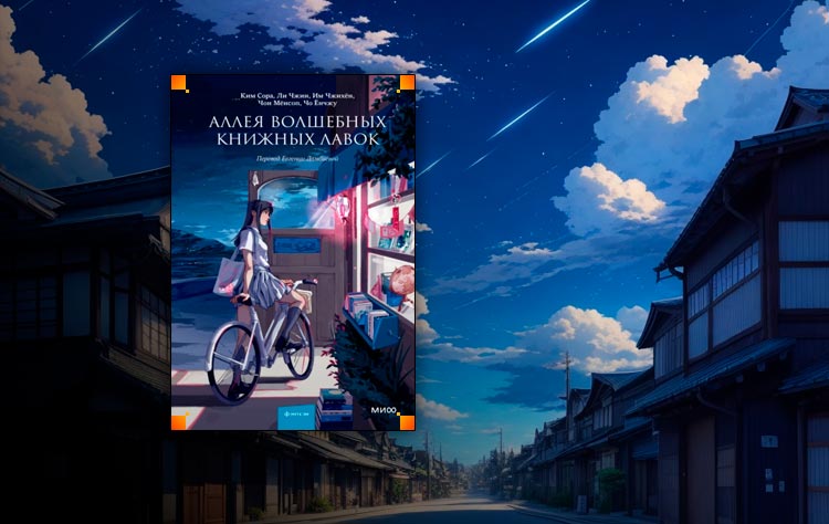 Аллея волшебных книжных лавок (Ким Сора, Ли Чжин)